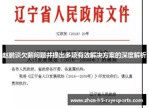 赵鹏谈欠薪问题并提出多项有效解决方案的深度解析 赵鹏谈欠薪问题并提出多项有效解决方案的深度解析